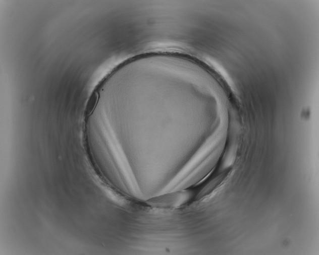 X0000091511277200709141348