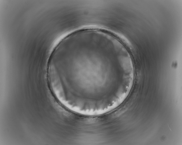 X0000091511279200709141348