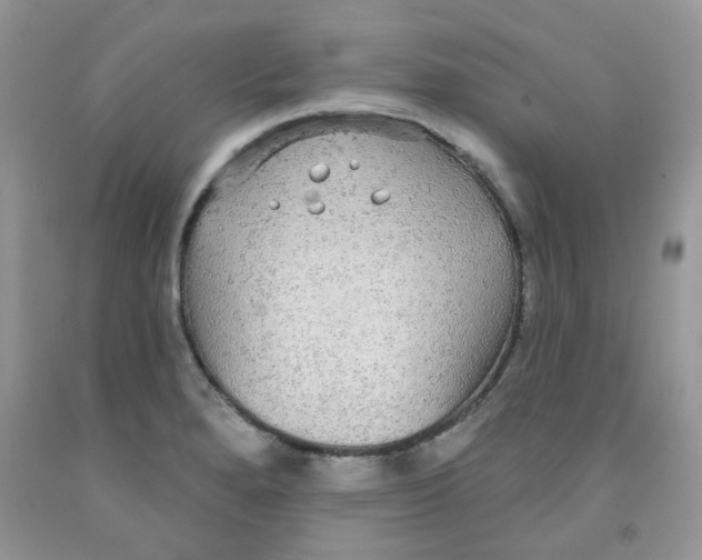 X0000091511280200709141347