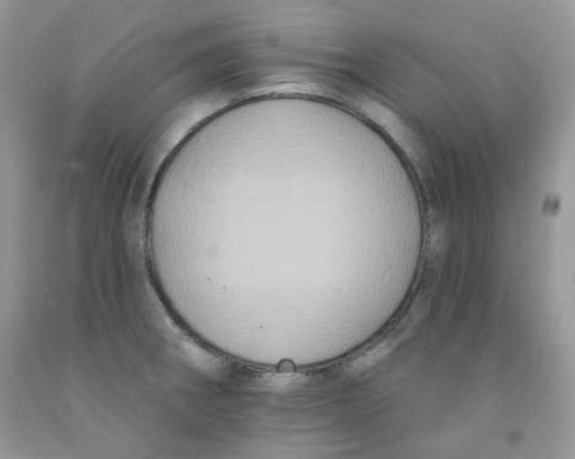 X0000091511282200709141347