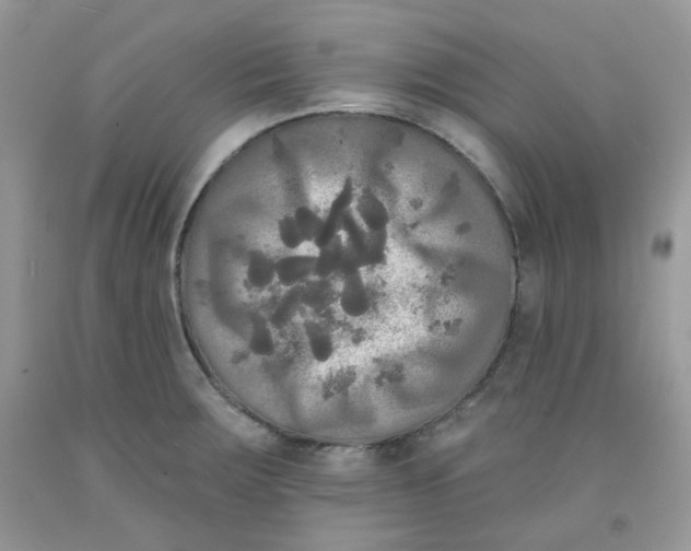 X0000091511283200709141347