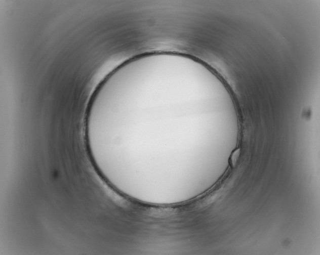 X0000091511285200709141347