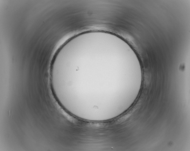 X0000091511286200709141347