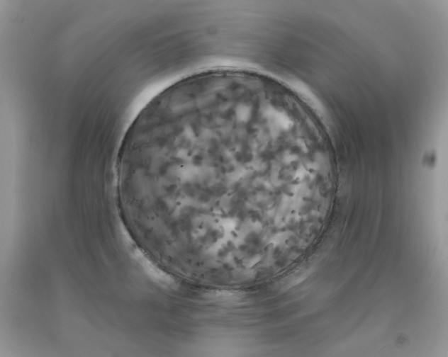 X0000091511287200709141347