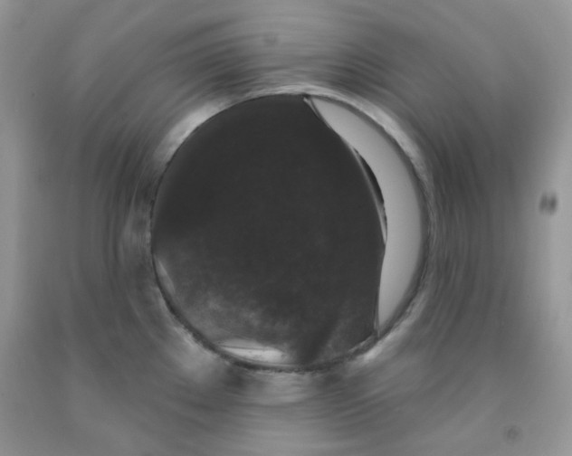 X0000091511289200709141347