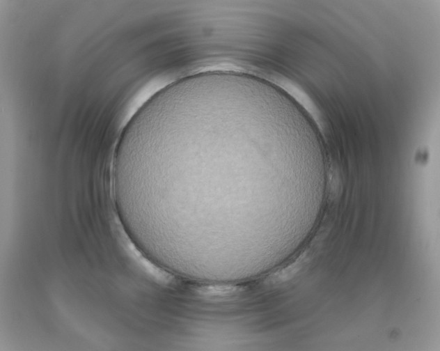 X0000091511290200709141347