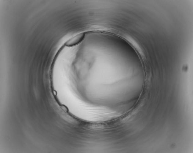 X0000091511291200709141347