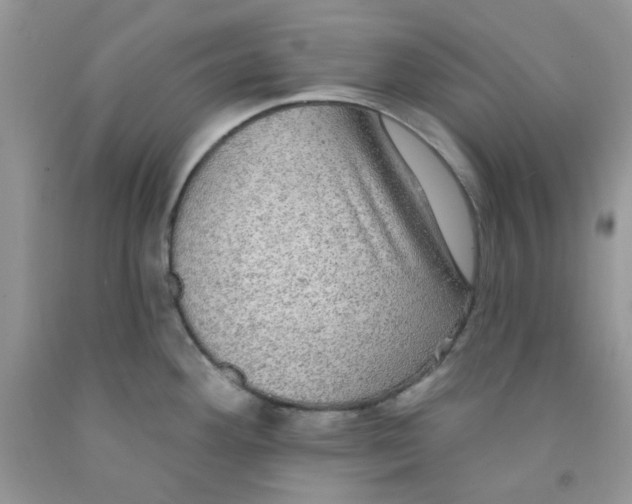 X0000091511292200709141347