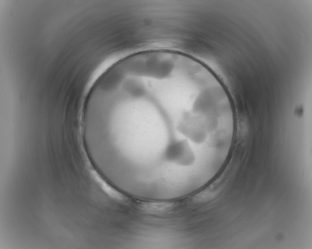 X0000091511294200709141347