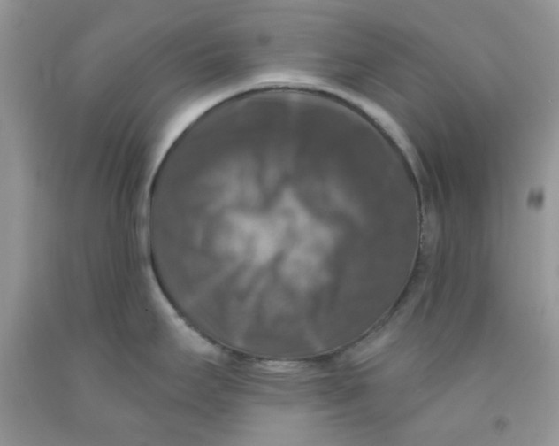 X0000091511295200709141347