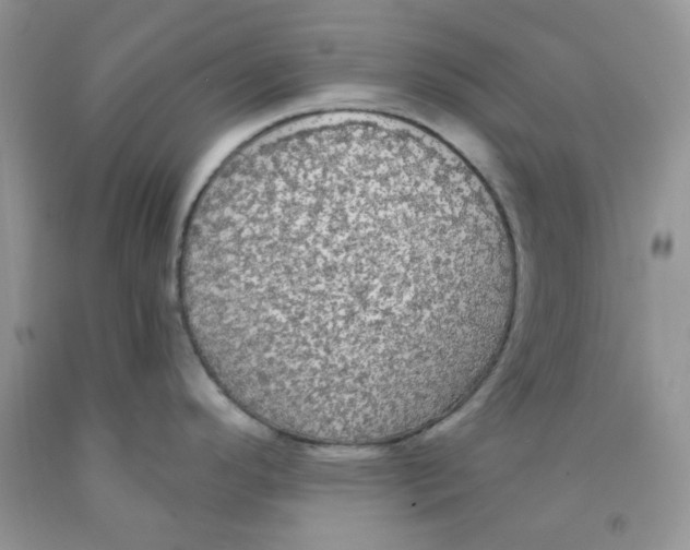 X0000091511296200709141347