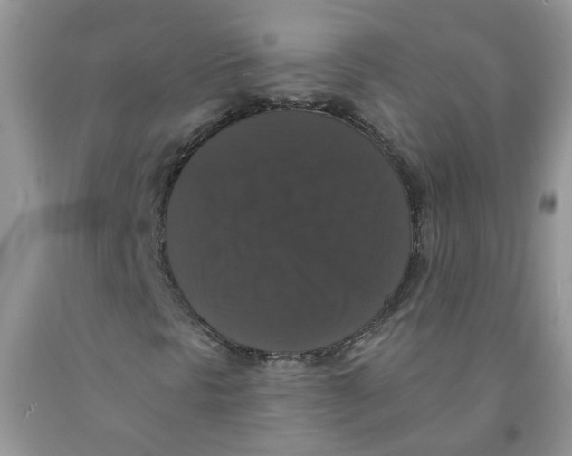 X0000091511297200709141347