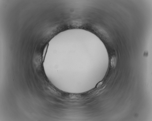 X0000091511299200709141347