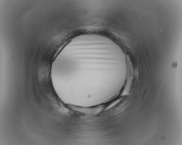 X0000091511300200709141347