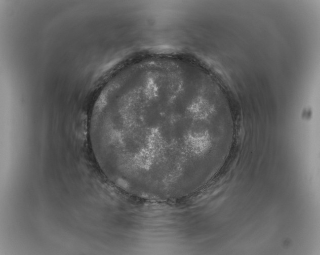 X0000091511301200709141347