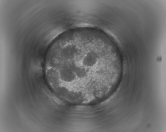 X0000091511305200709141347