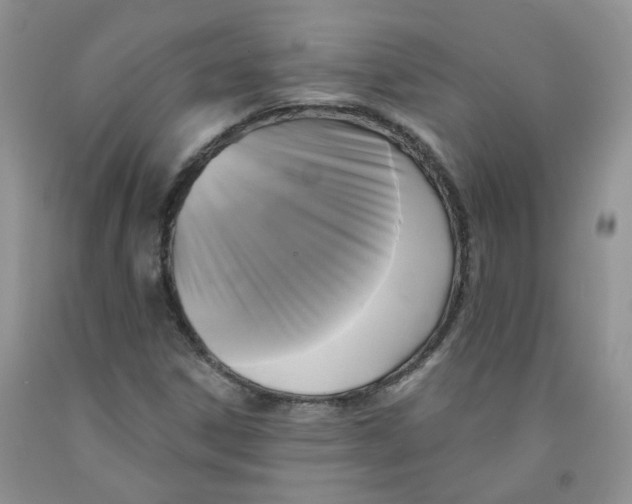 X0000091511306200709141347