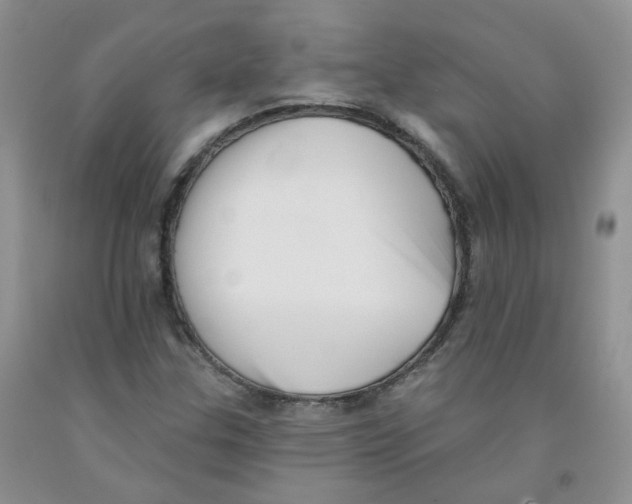 X0000091511307200709141347