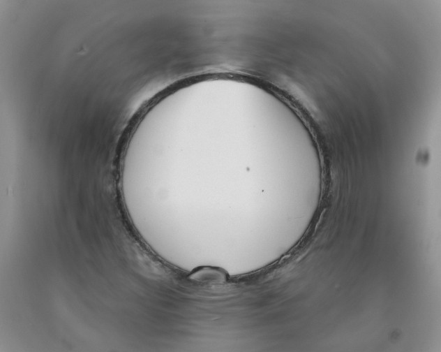 X0000091511308200709141347