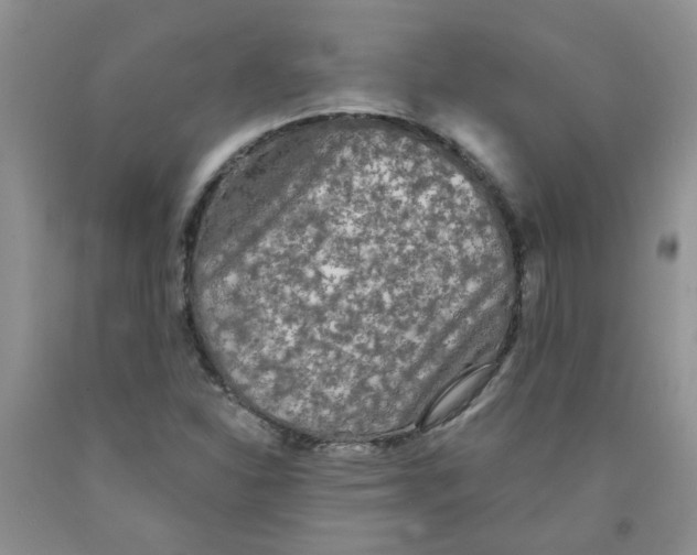 X0000091511310200709141347