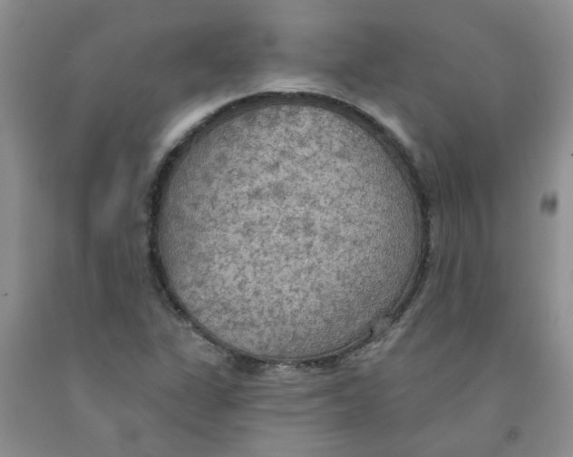 X0000091511311200709141347