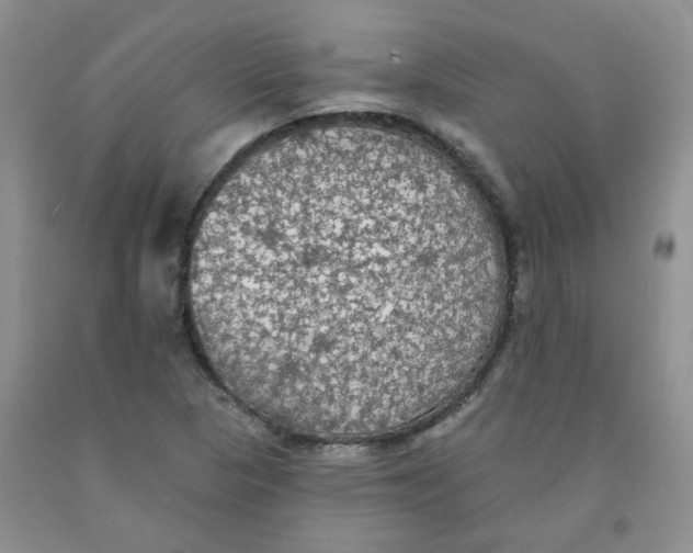 X0000091511313200709141347