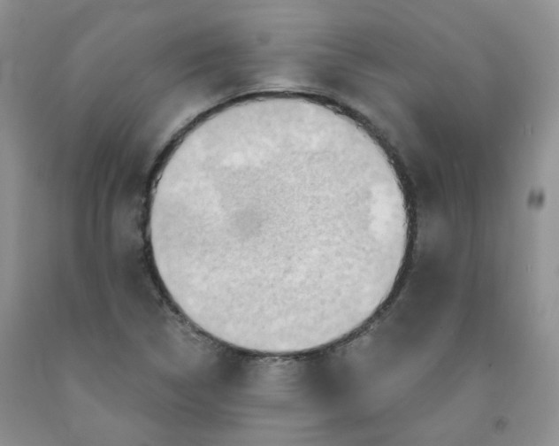 X0000091511314200709141347