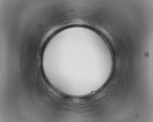 X0000091511318200709141347