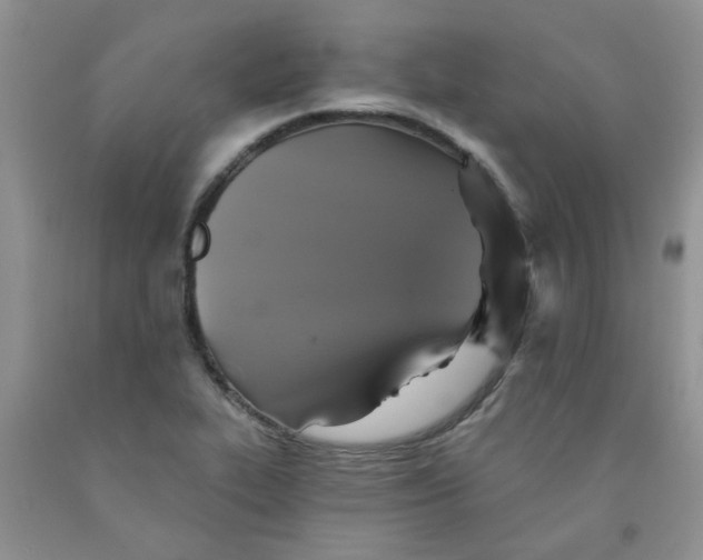 X0000091511319200709141347