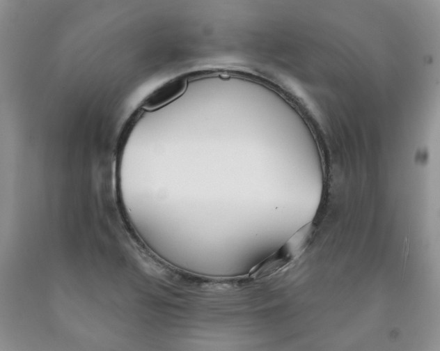 X0000091511320200709141347