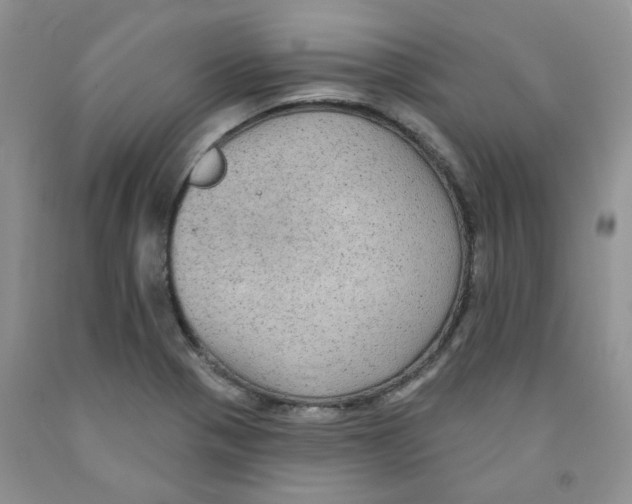 X0000091511321200709141347