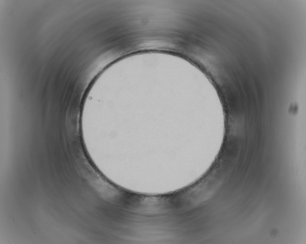 X0000091511322200709141347