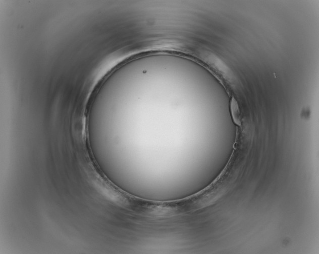 X0000091511324200709141347