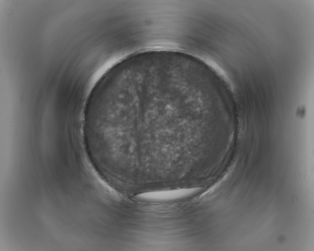 X0000091511325200709141347