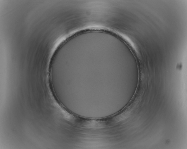 X0000091511327200709141347