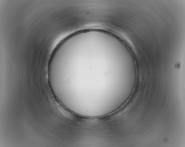 X0000091511328200709141347