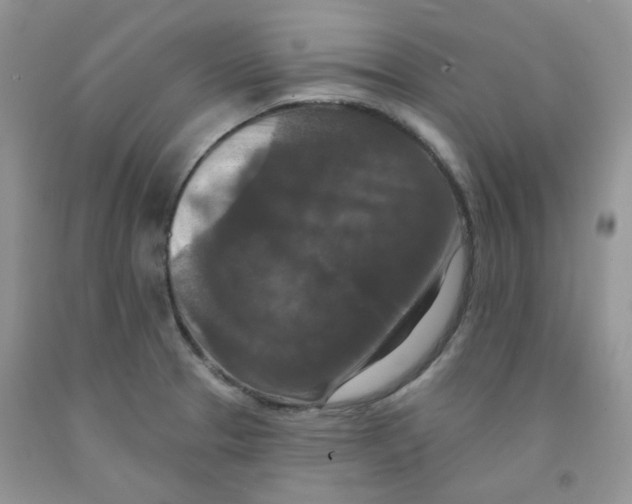 X0000091511329200709141347