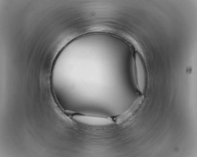 X0000091511330200709141347