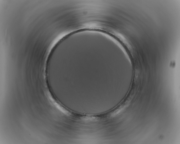 X0000091511331200709141347