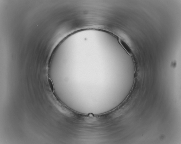 X0000091511332200709141347