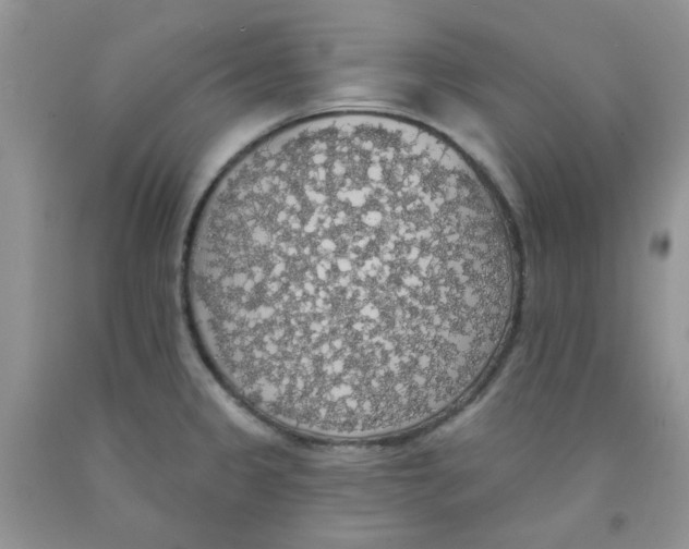 X0000091511333200709141347