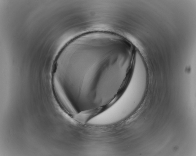 X0000091511334200709141347