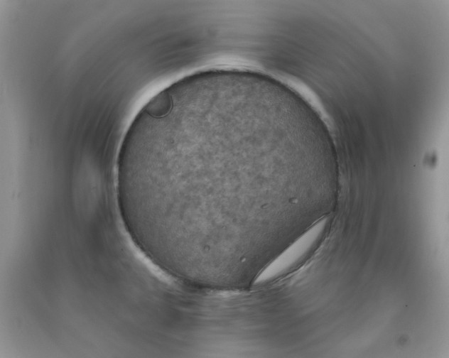 X0000091511335200709141347