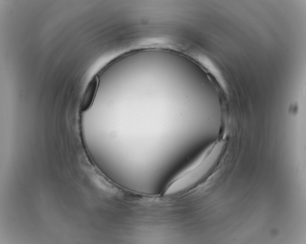 X0000091511336200709141347