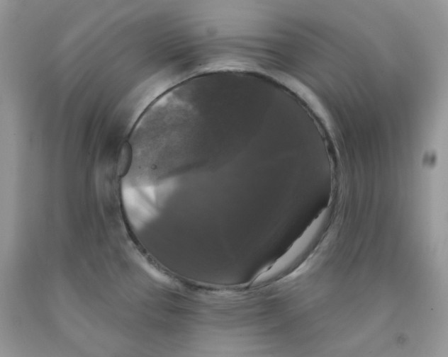 X0000091511337200709141347