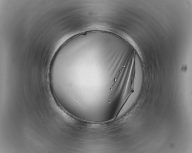 X0000091511339200709141347