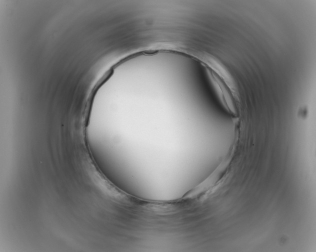 X0000091511340200709141347