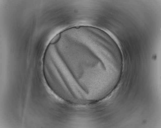 X0000091511341200709141347