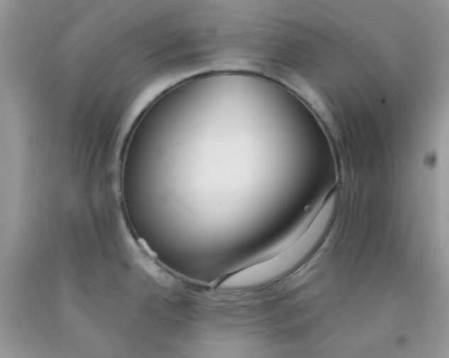 X0000091511342200709141347