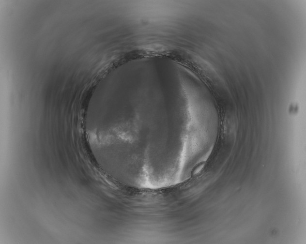 X0000091511346200709141347